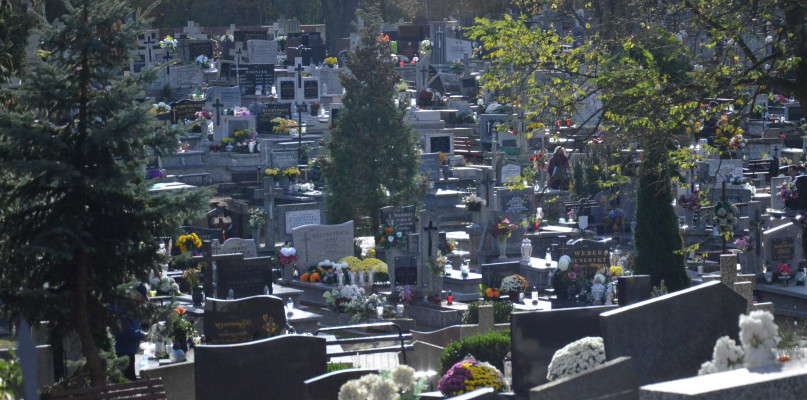 Fot. Natalia Seklecka