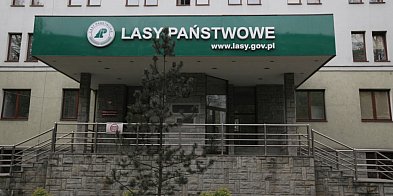 Lasy Państwowe otwierają się na miłośników bushcraftu i-12901