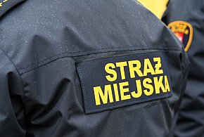 Zapuka strażnik, zapłacisz karę. Ruszyły kontrole w całej Polsce-22438