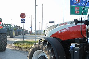 Rolnicy zapowiadają protest w całym kraju. Skala może zaskoczyć-22799